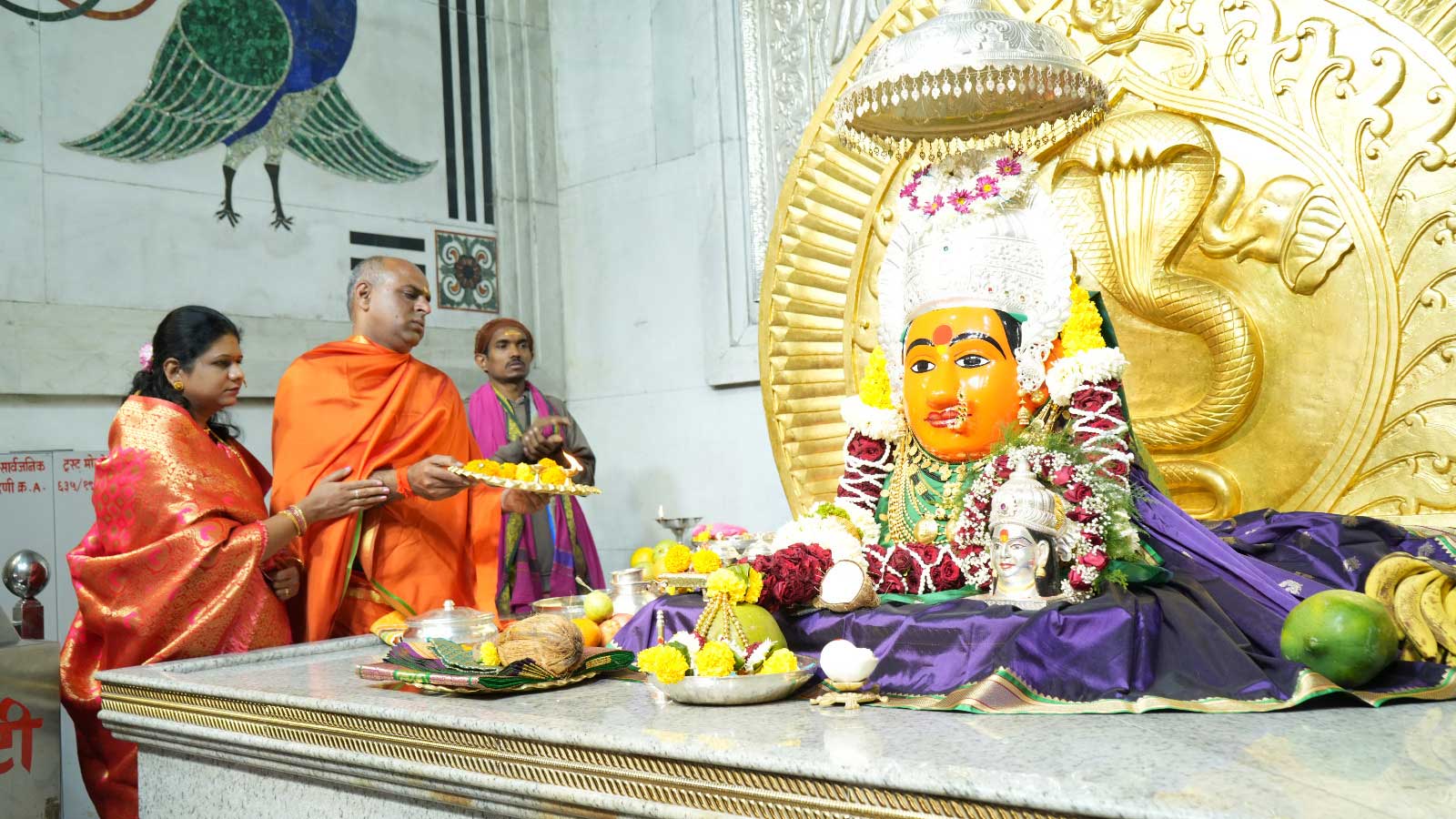 शाकंभरी नवरात्र उत्सव